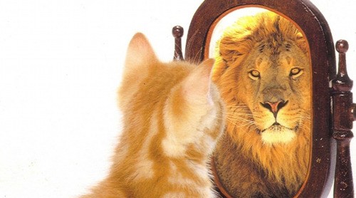 confiance en soi